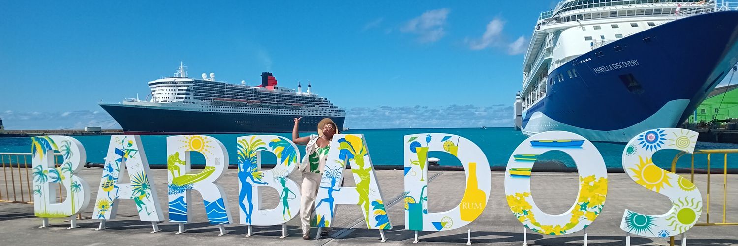 Seagull🚢⚓ banner