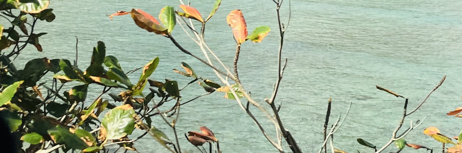 sharontgreen's profile banner image