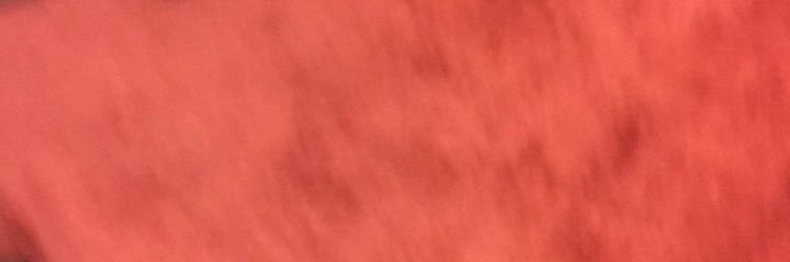 Jaylin . banner
