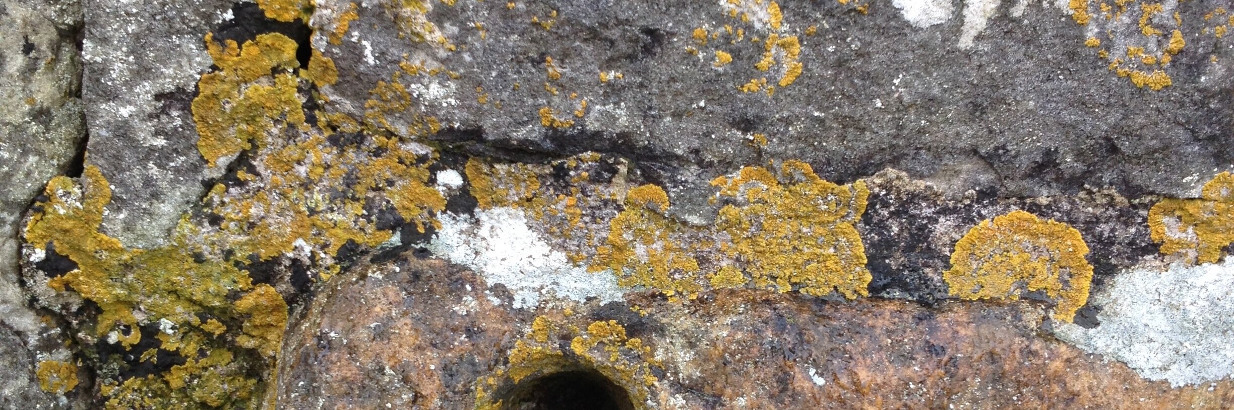 Kel_everyday's profile banner image
