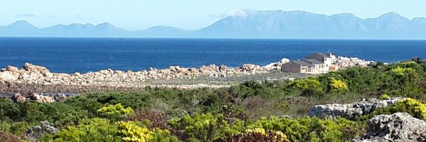 niksekhran Profile Banner