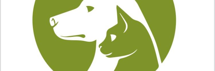 canecanum's profile banner image