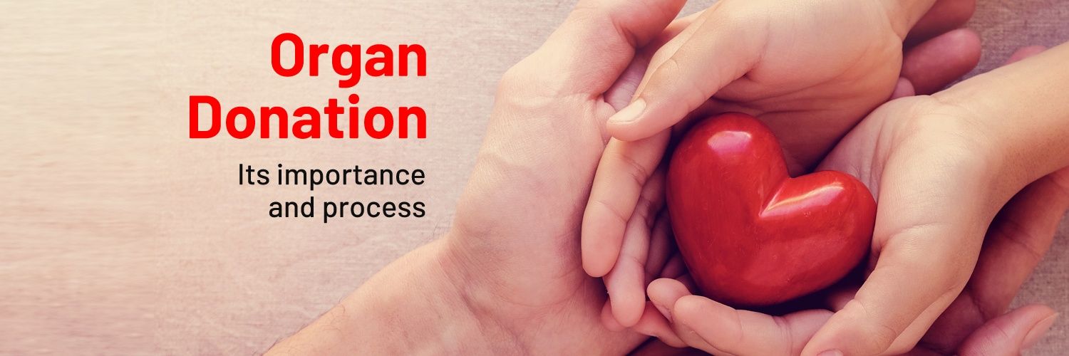 David.The Good Doctor banner