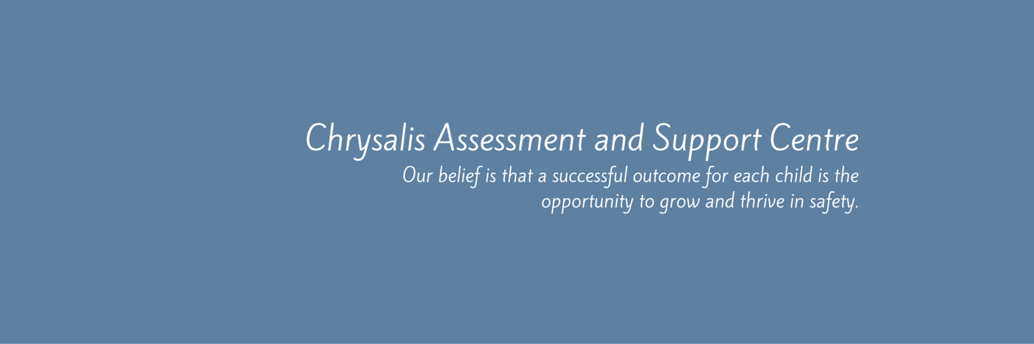 Chrysalis2014's profile banner image
