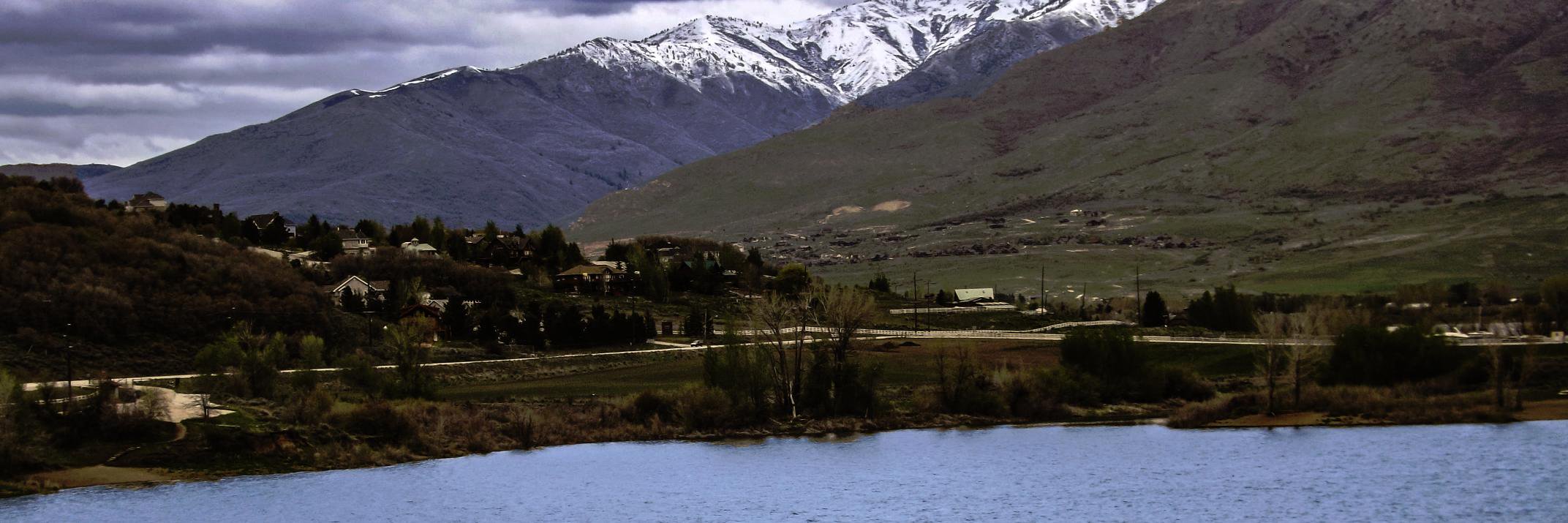 🐻‍❄️ Lo 🐻‍❄️ banner