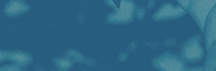 03_soe's profile banner image