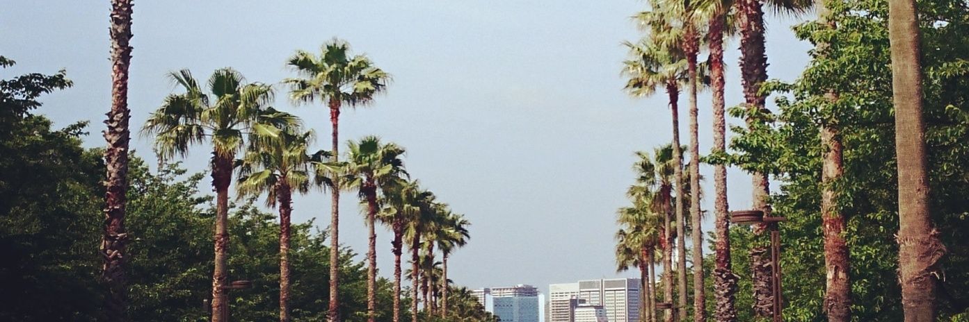 みるとん banner