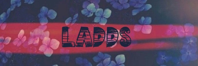 laddily's profile banner image