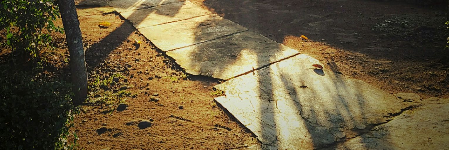 alanryzky's profile banner image
