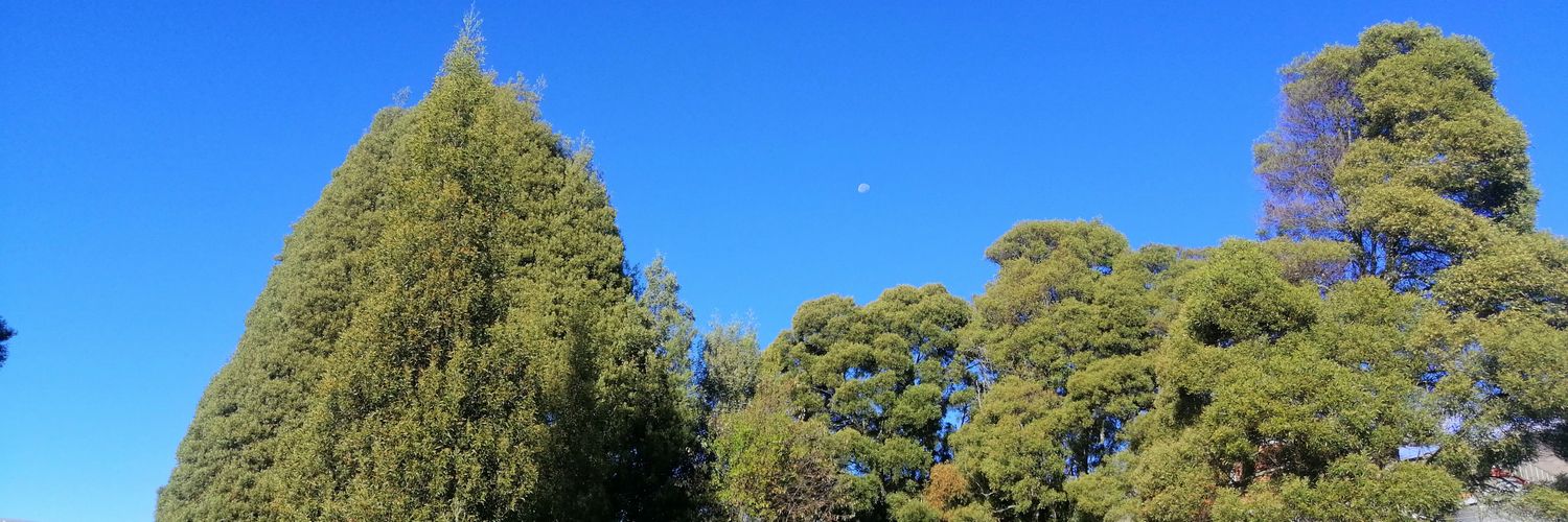 jmaiguashca's profile banner image