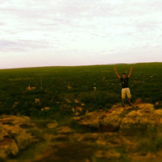 dani_litro's profile banner image