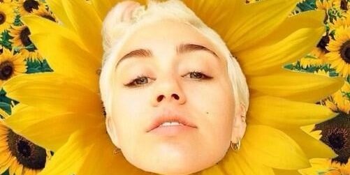 ilovemileycys's profile banner image