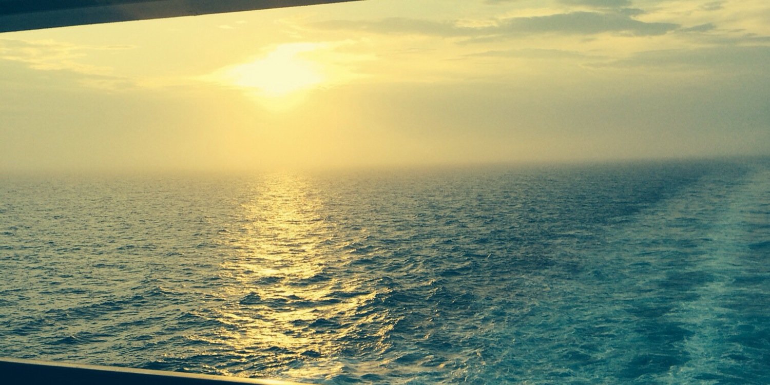 TerriF76's profile banner image