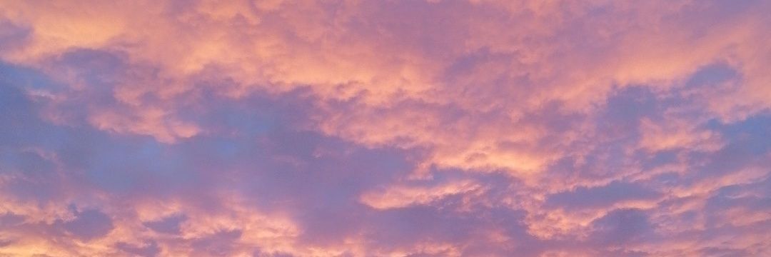 Marie_mnti's profile banner image