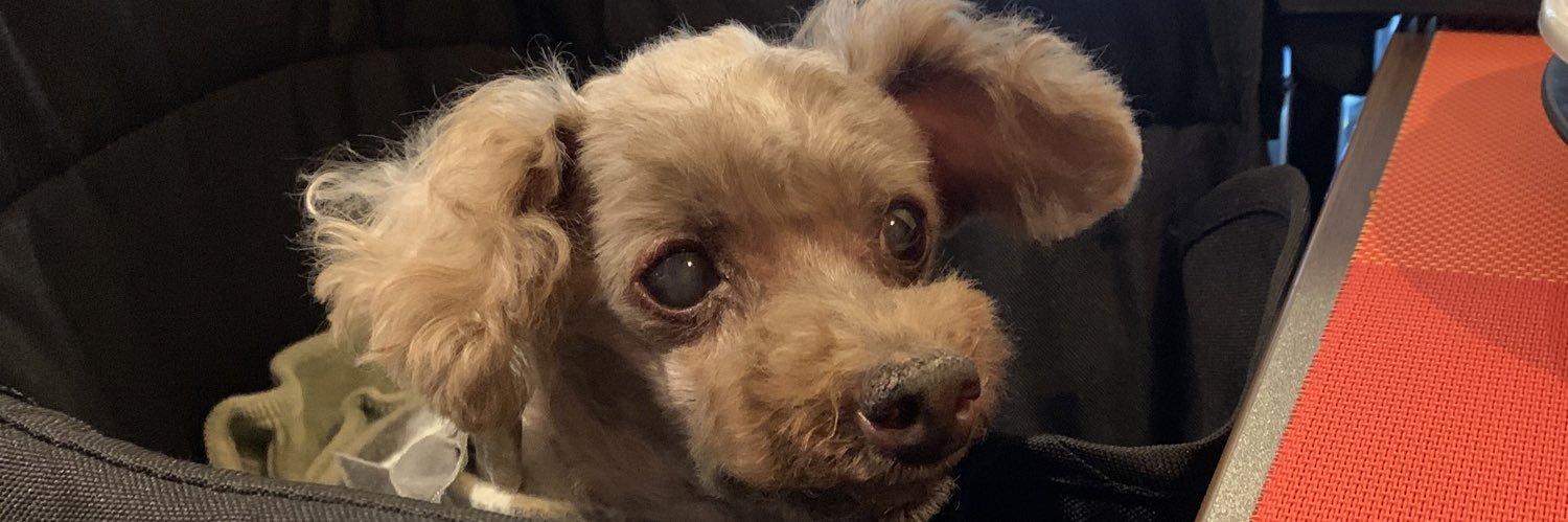 himerincon's profile banner image