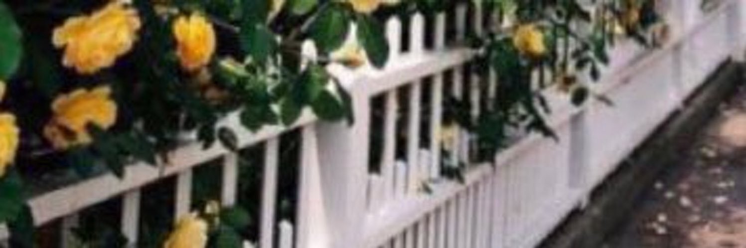 667KW's profile banner image