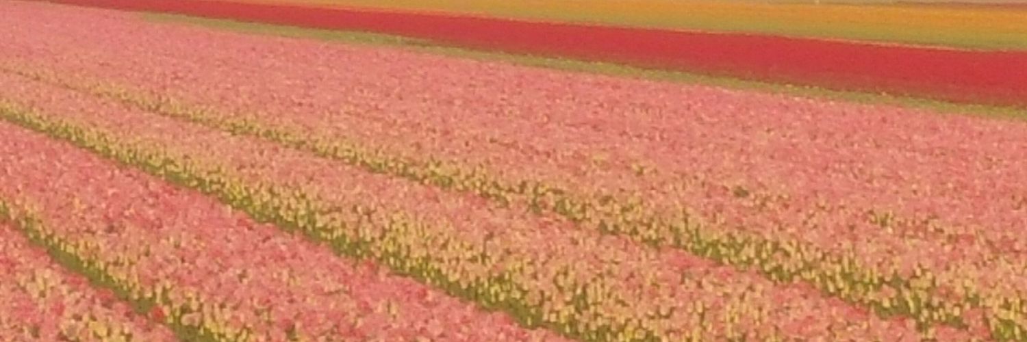 Jee-Pee ❤️🤍🖤 banner