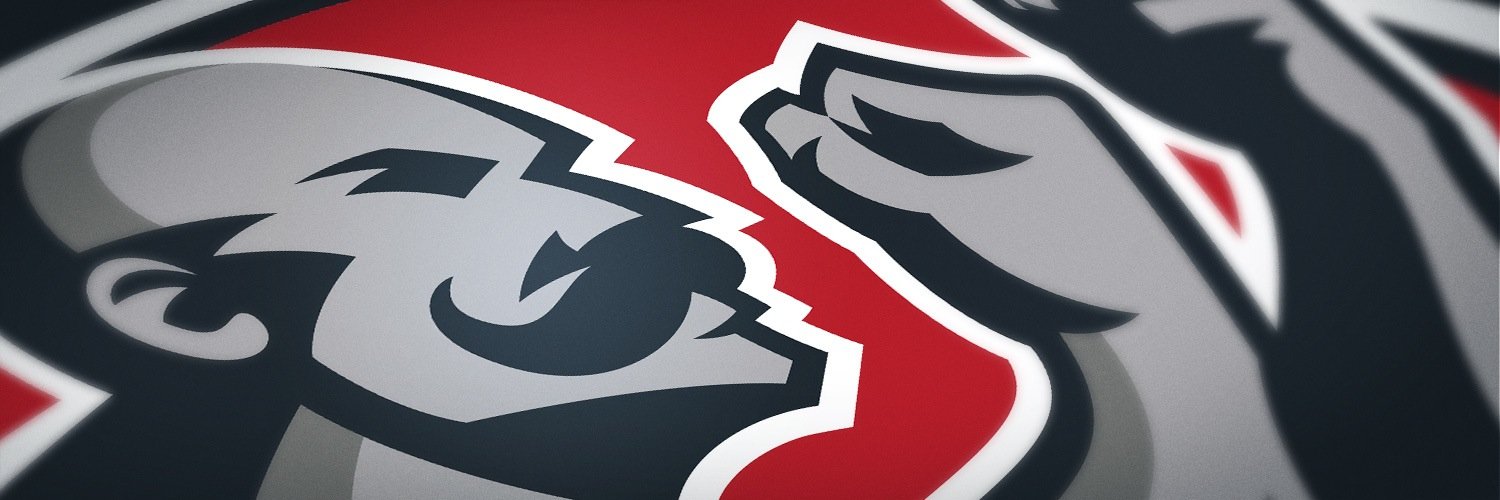 BostonBrawlers's profile banner image