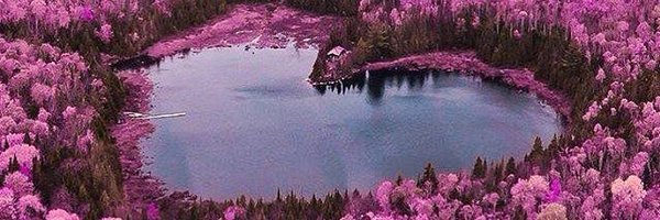 rtrthivierge Profile Banner