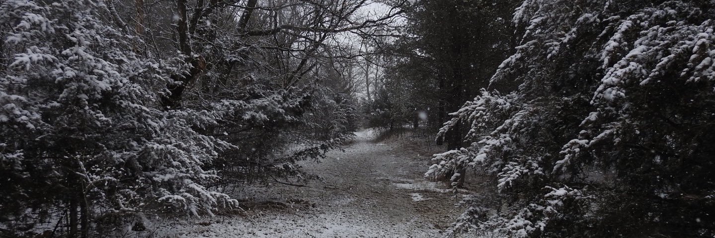 jaredthowe's profile banner image