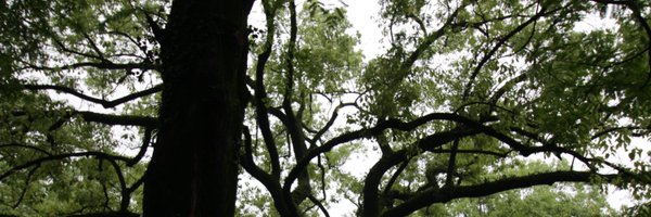 drkhaledkareem Profile Banner