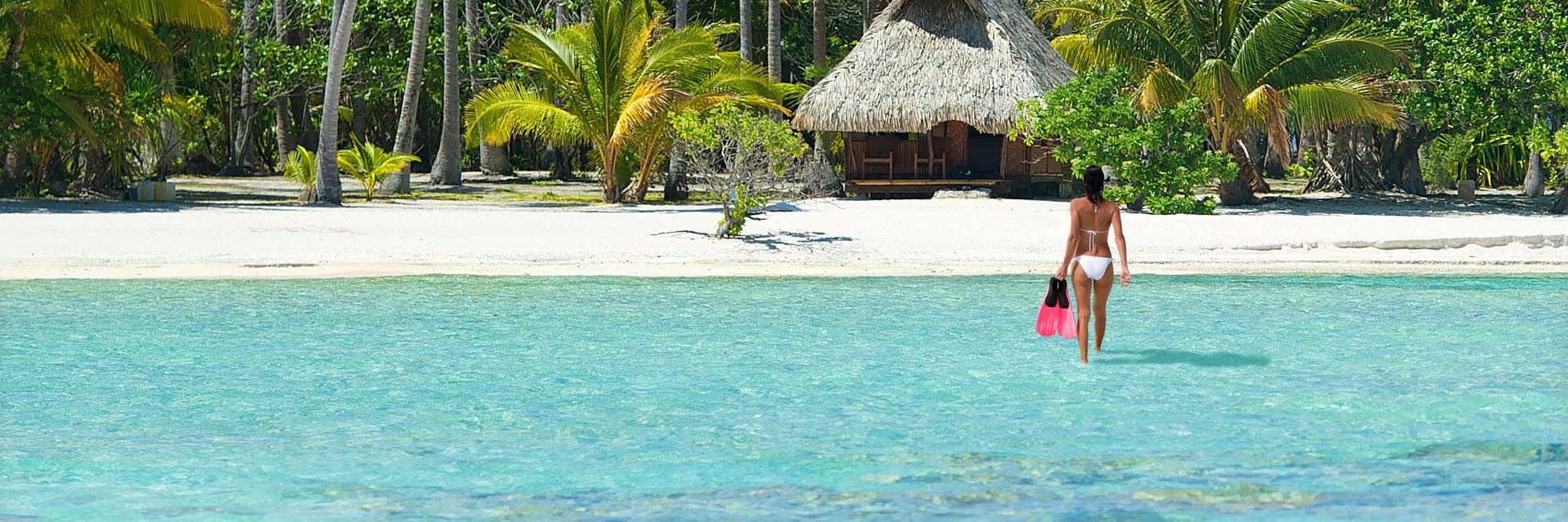 BeachPorm's profile banner image