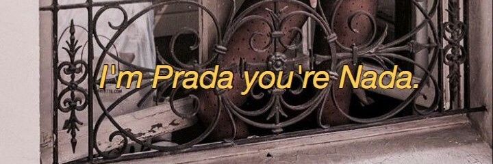cat_costaa's profile banner image