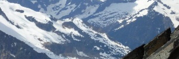 lgo11 Profile Banner