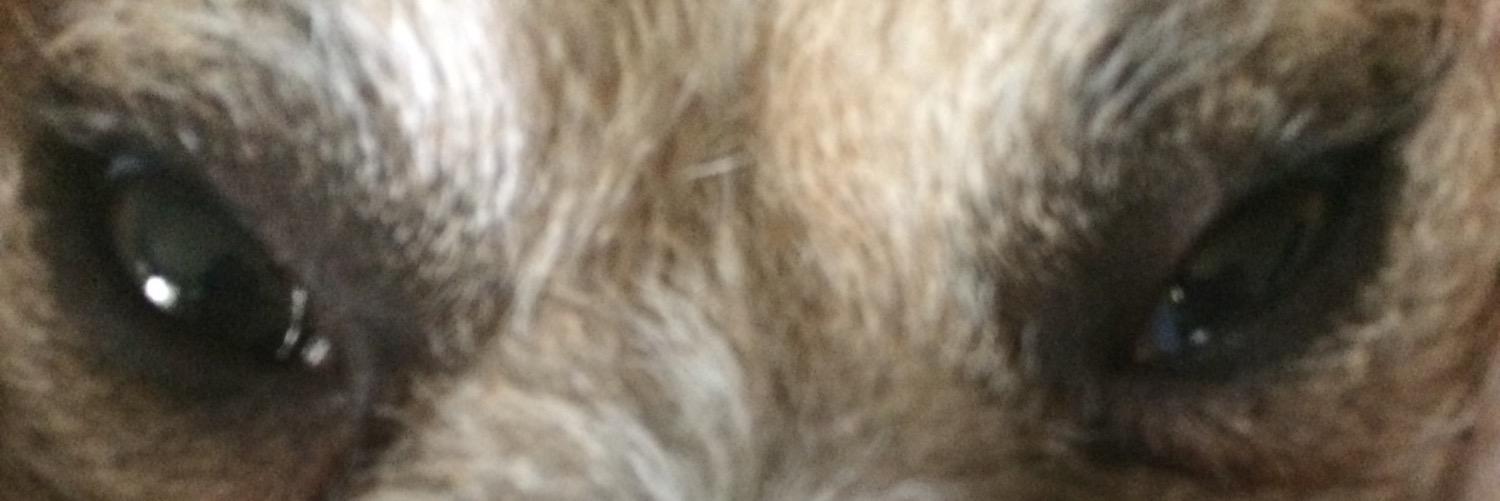jackupnorth115's profile banner image