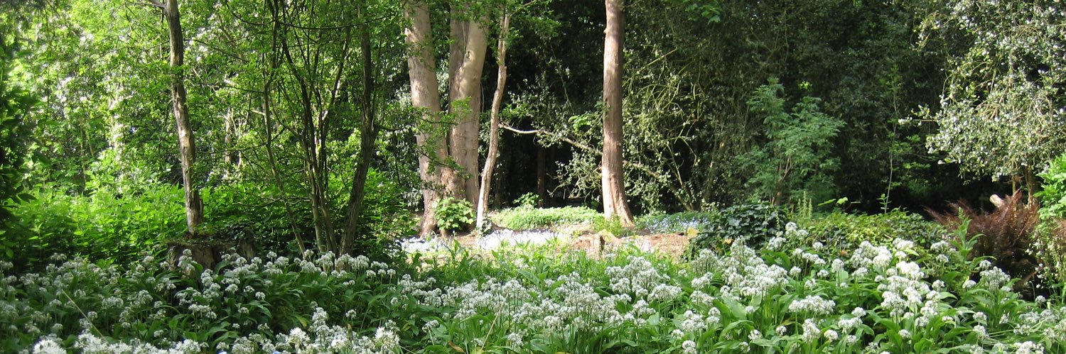 Mind Health Movement banner