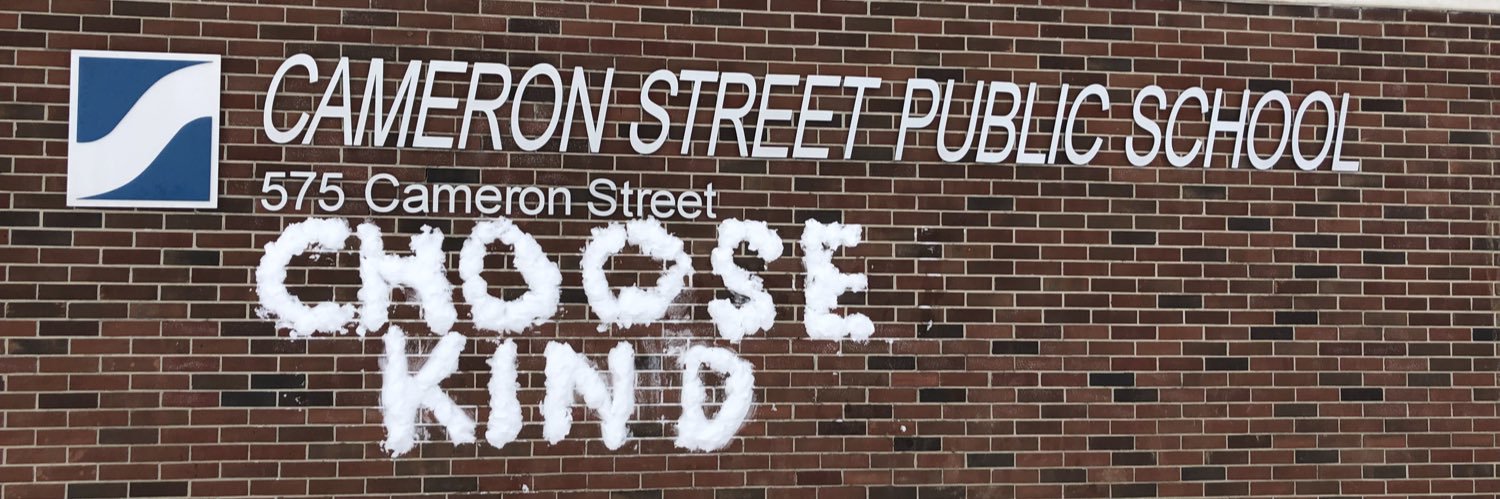 Cameron Street PS banner