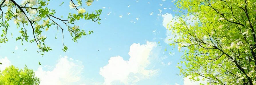 Светлана banner