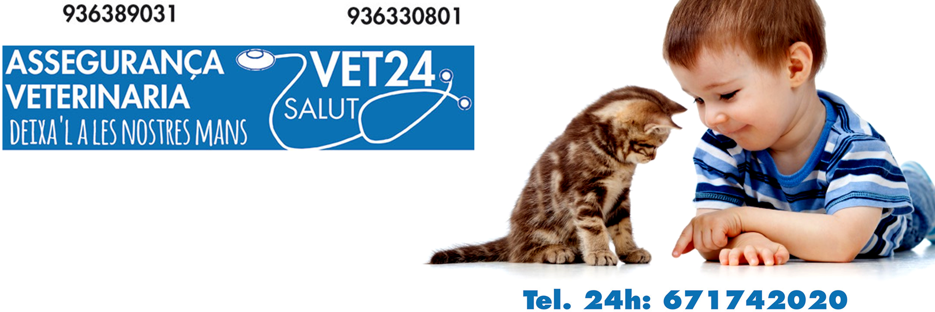 VET24BCN's profile banner image