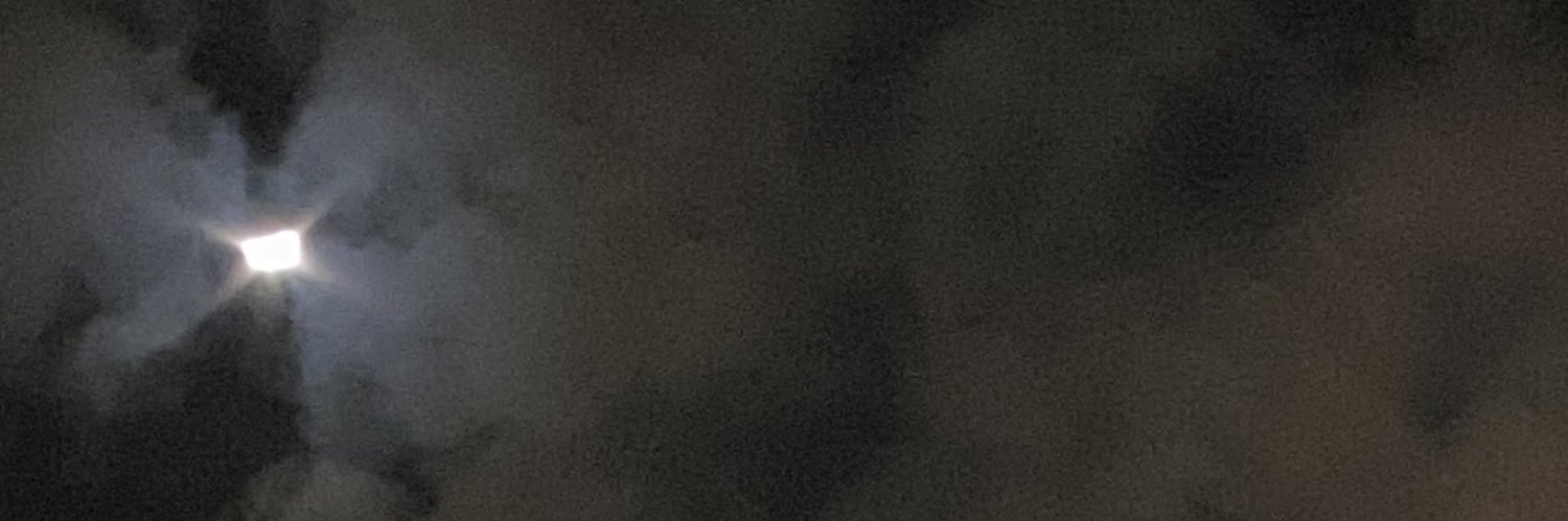 SheanWOW's profile banner image