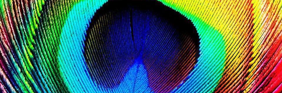 ddbelton2's profile banner image