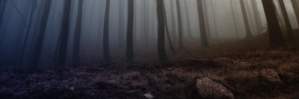 ZJones2003's profile banner image