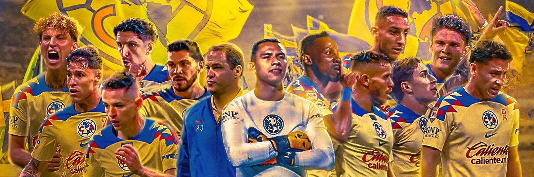 Silvy sixto banner