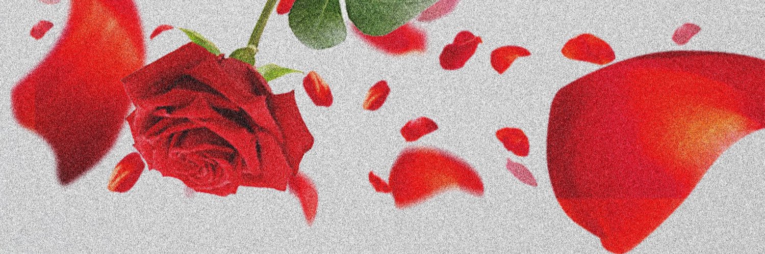 _ROS12_'s profile banner image