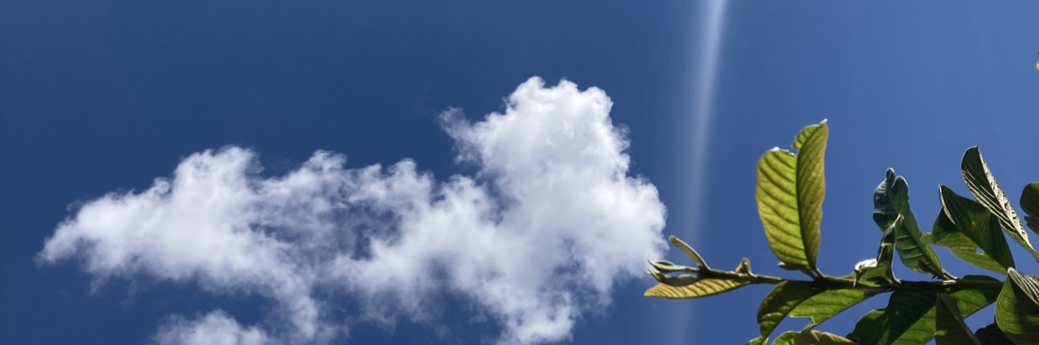 jadxon's profile banner image