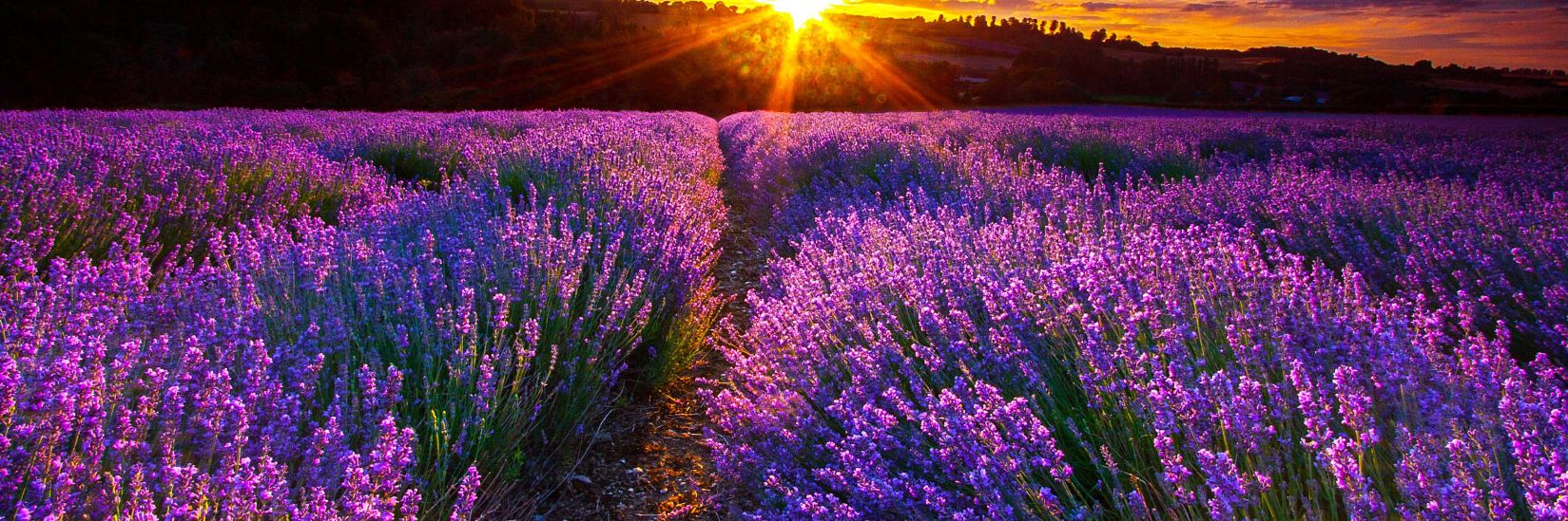 Abdullah Alghanim banner