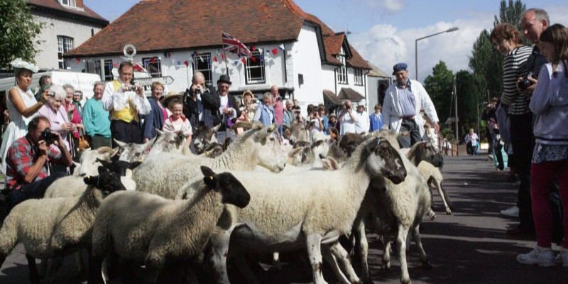 sheepfair's profile banner image