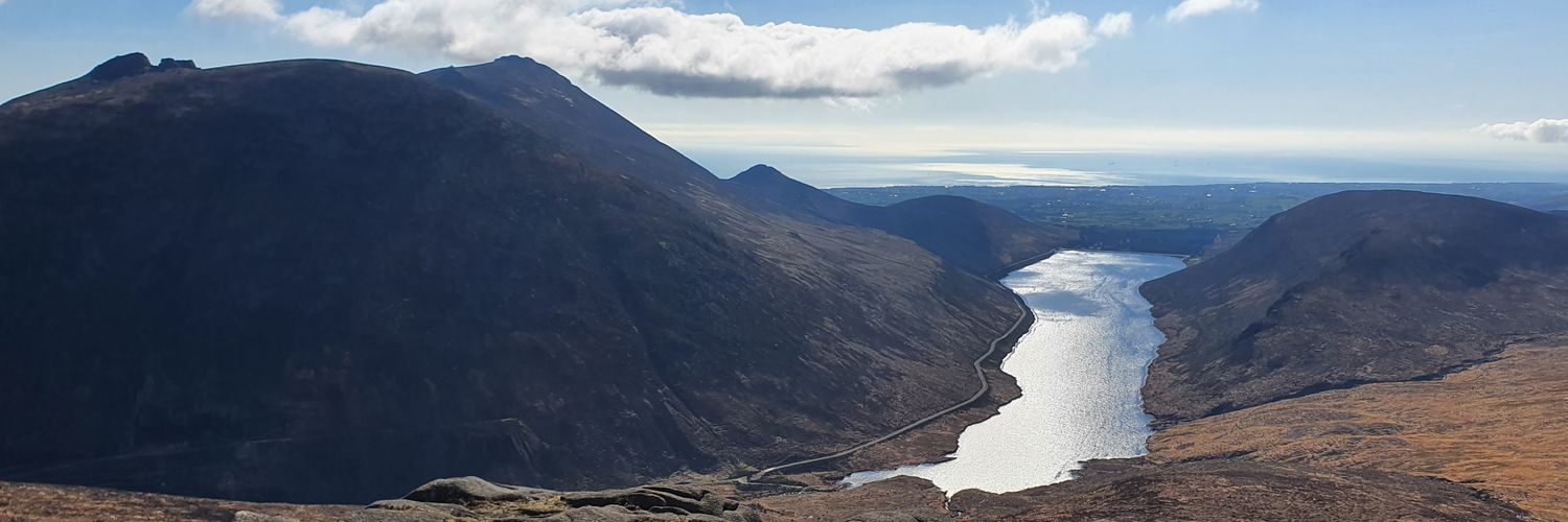 Aine_Forester's profile banner image