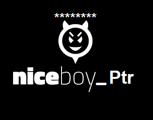 niceboyptr's profile banner image