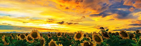 AGirlHasNoName banner