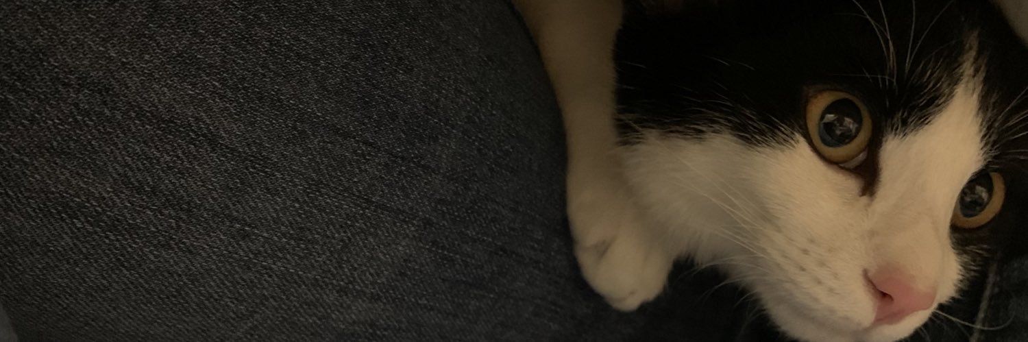 shotahoo's profile banner image