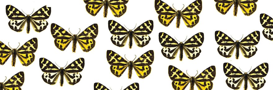 Eetu Selenius banner