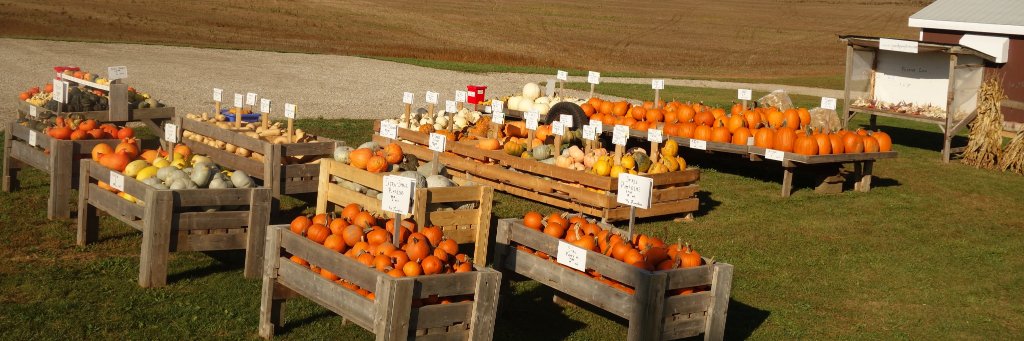 GoodPumpkins's profile banner image