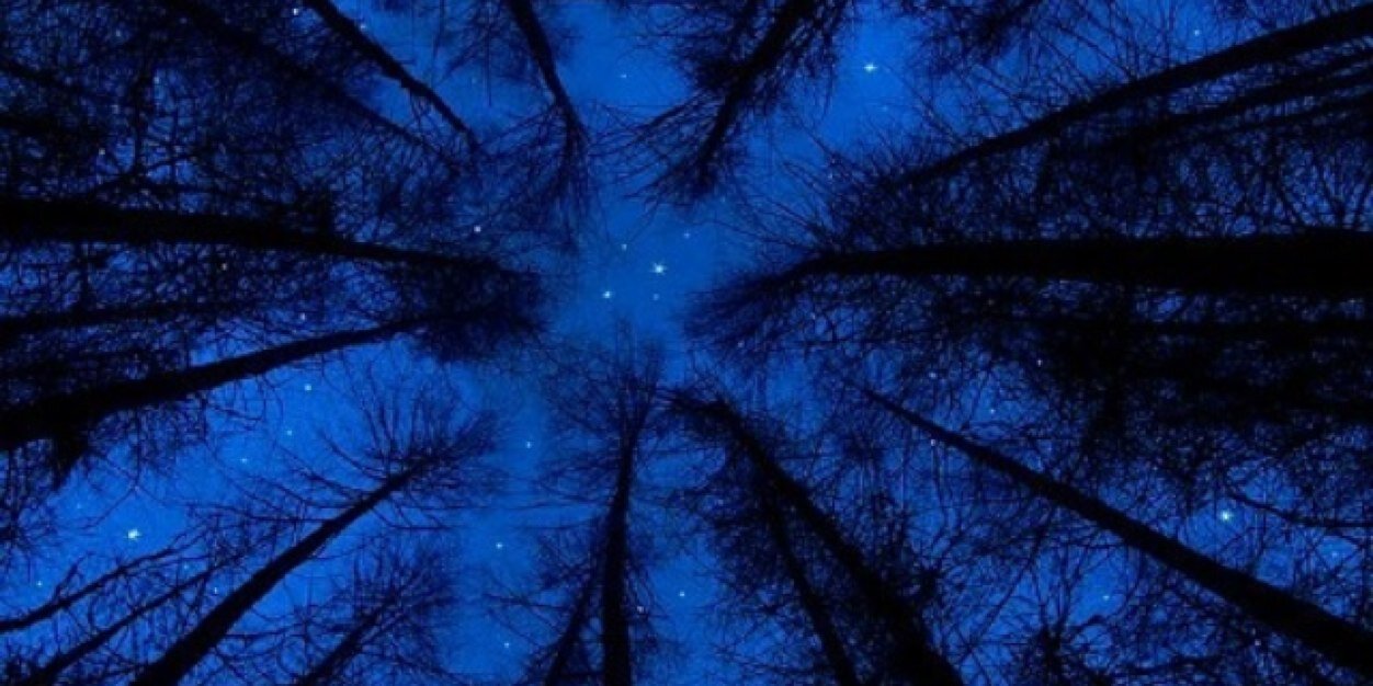 mariahcroft's profile banner image