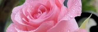 ALDANA3232's profile banner image