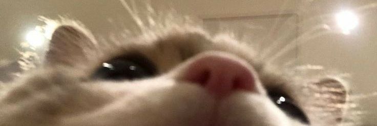 yumatype's profile banner image